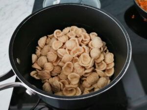 orecchiette pasta