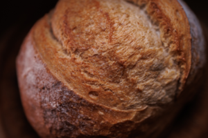 Pane di Senatore Cappelli takes its name from a Senator in Abruzzo