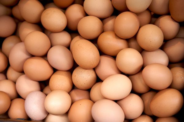 how many eggs do italian eat
