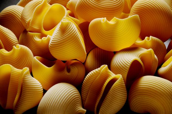 large pasta shells