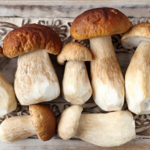 porcini mushrooms