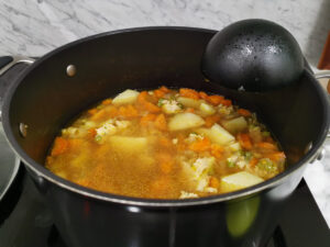 chicken vegetable pasta soup