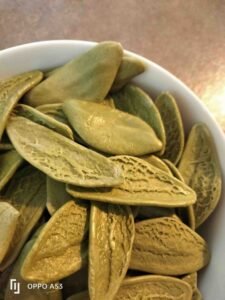 Spinach leaves pasta with salmon and courgettes